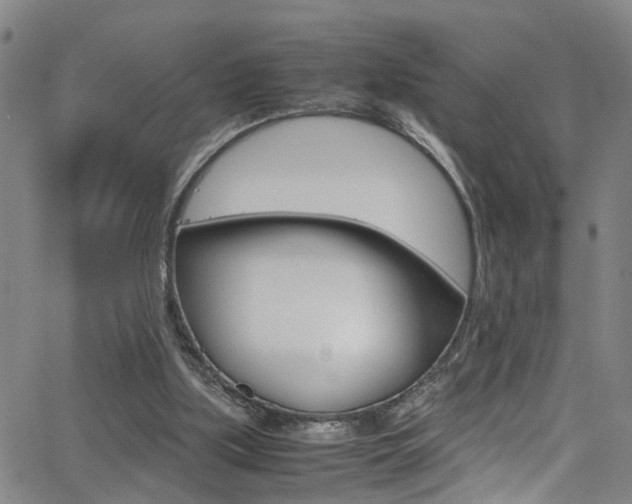 X0000065980059200603030940