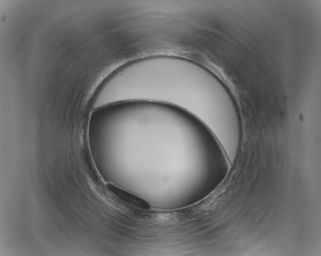 X0000065980060200603030940