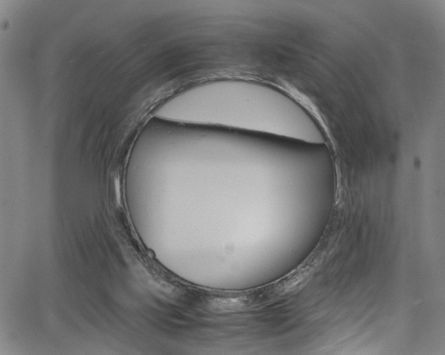 X0000065980061200603030940