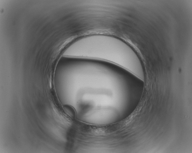 X0000065980062200603030940