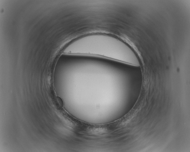 X0000065980063200603030940