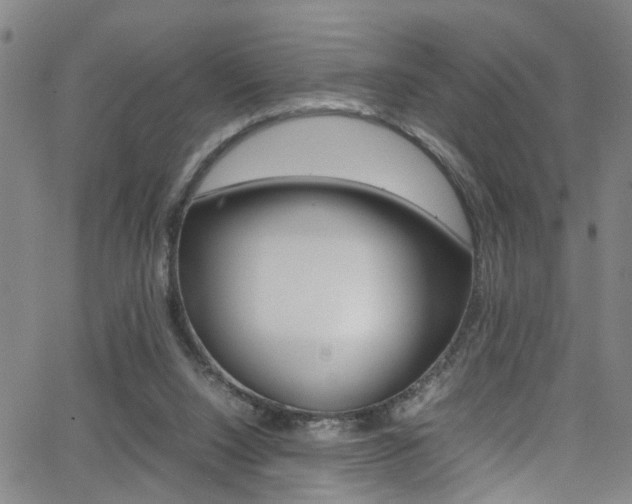 X0000065980064200603030940