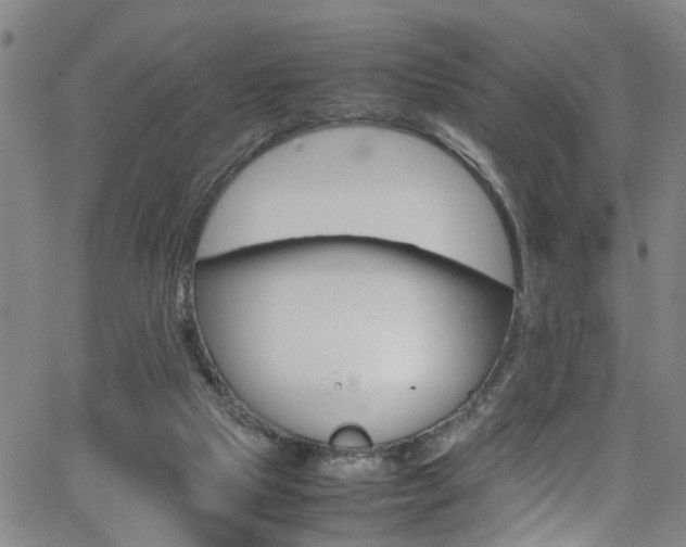 X0000065980065200603030940