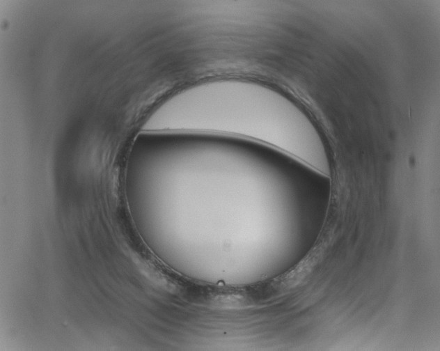 X0000065980066200603030940