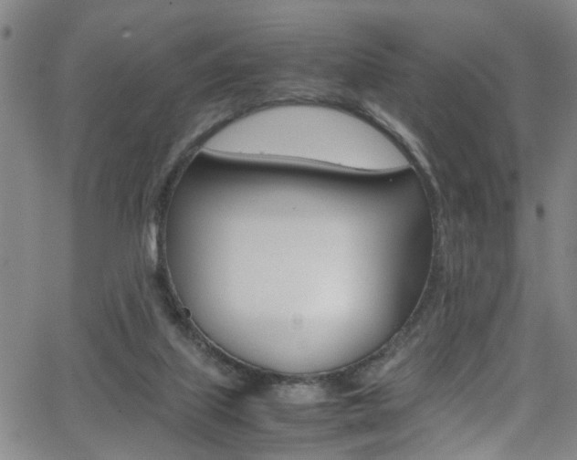 X0000065980067200603030940