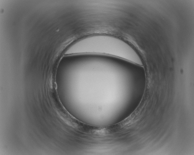 X0000065980068200603030940