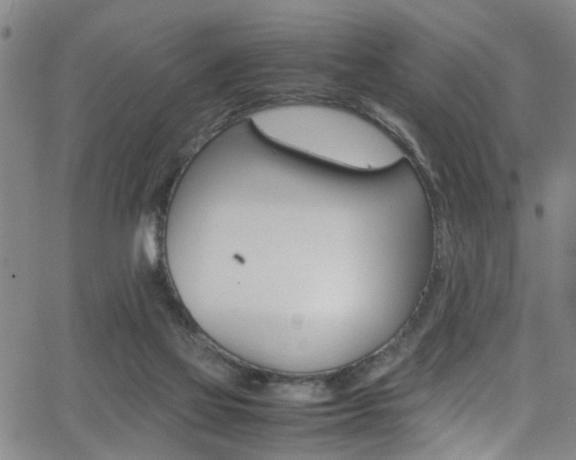 X0000065980069200603030940