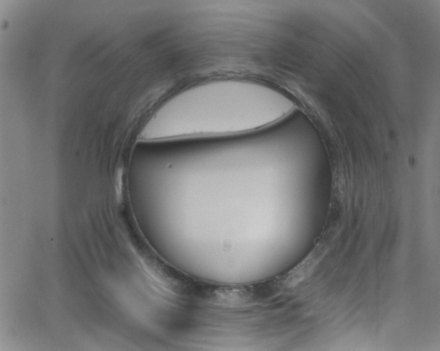 X0000065980070200603030940