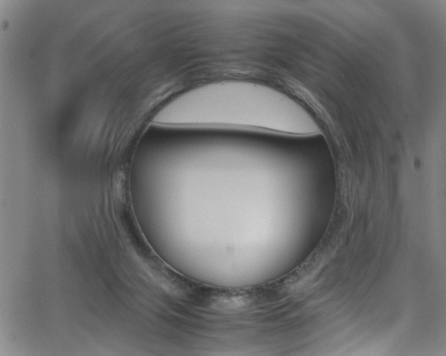 X0000065980071200603030940