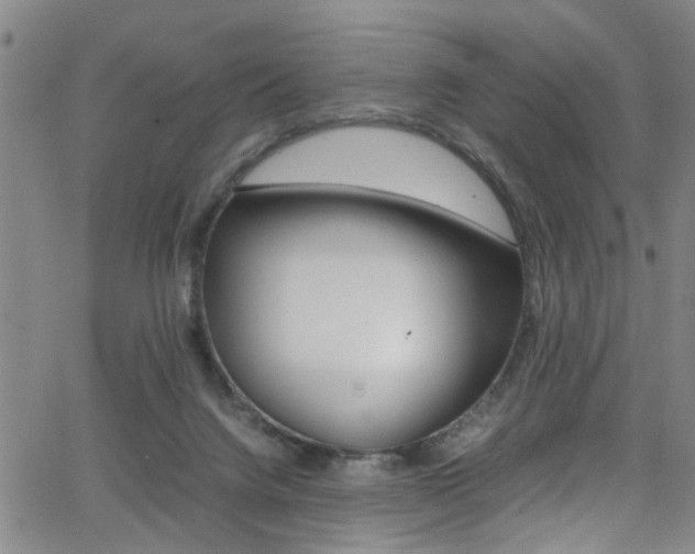 X0000065980072200603030940