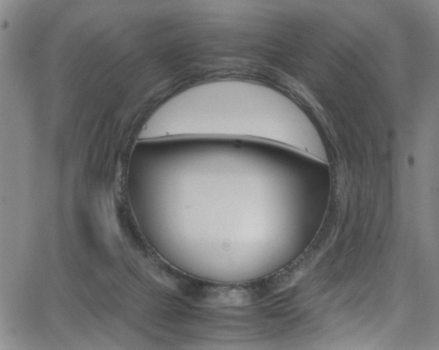 X0000065980073200603030940