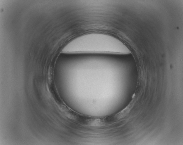 X0000065980074200603030941