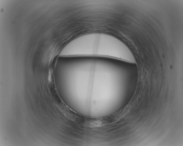 X0000065980075200603030941