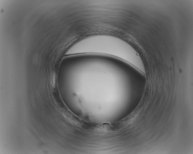 X0000065980076200603030941