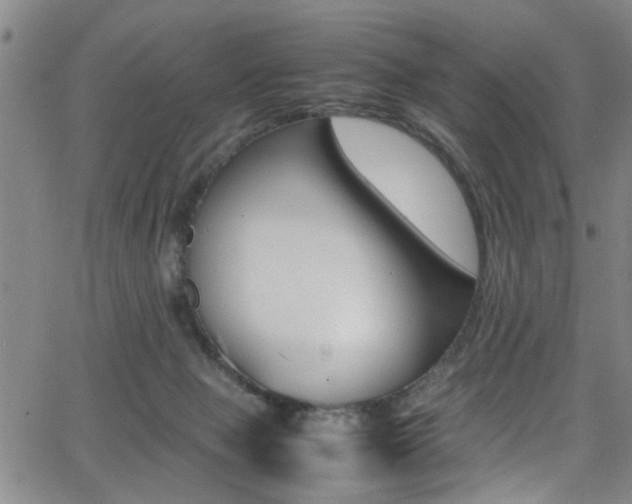 X0000065980077200603030941