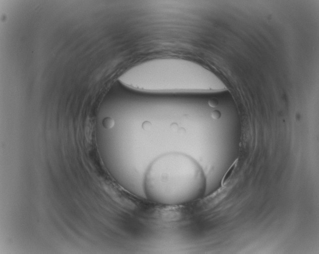 X0000065980078200603030941