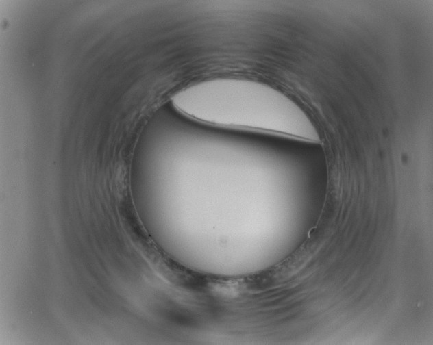 X0000065980079200603030941