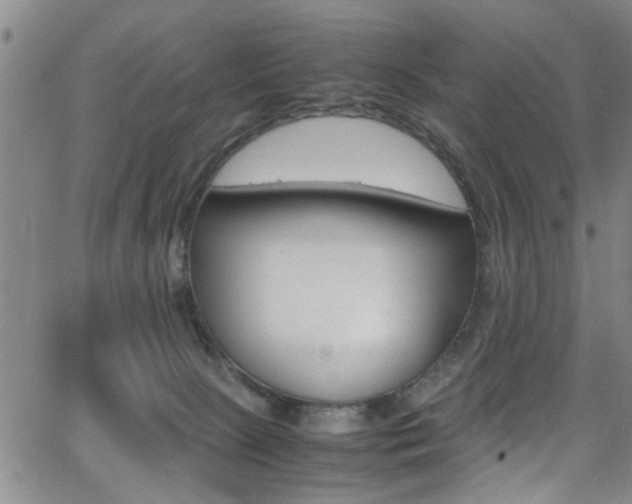 X0000065980081200603030941