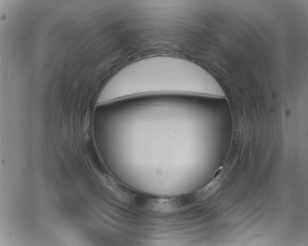 X0000065980082200603030941