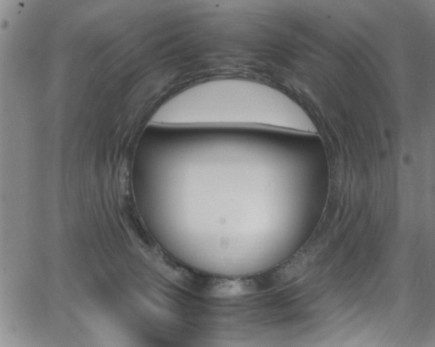 X0000065980083200603030941