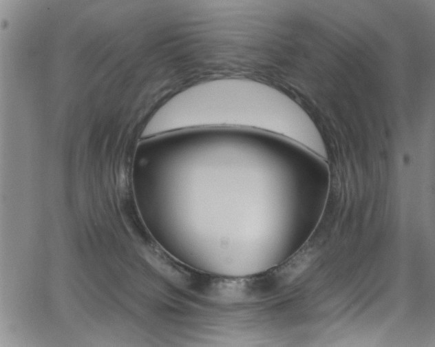 X0000065980084200603030941