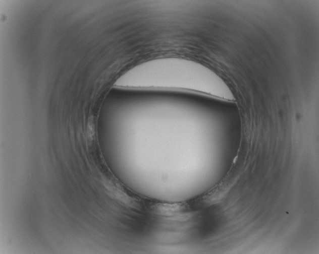 X0000065980085200603030941