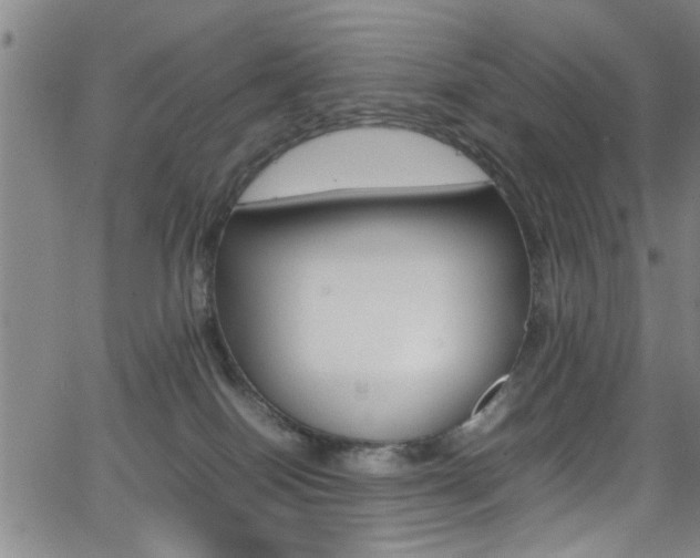 X0000065980086200603030941