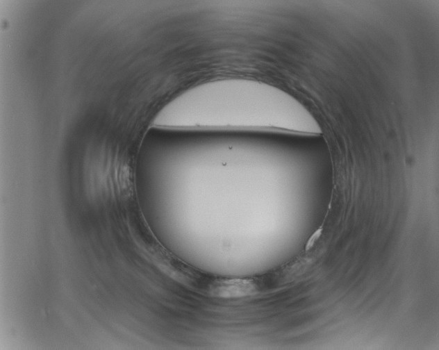 X0000065980087200603030941