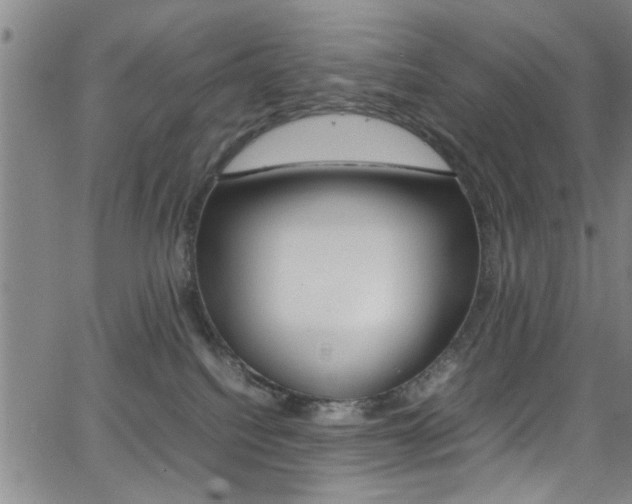 X0000065980088200603030941