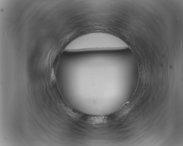 X0000065980089200603030941