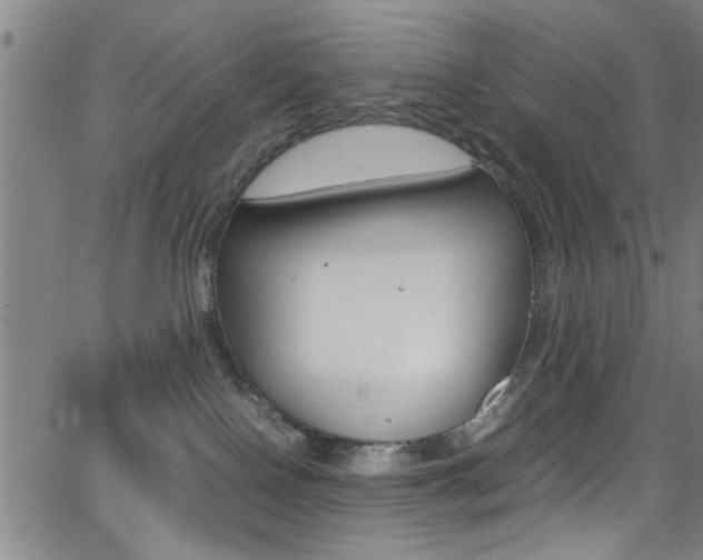 X0000065980090200603030941