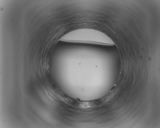 X0000065980091200603030941