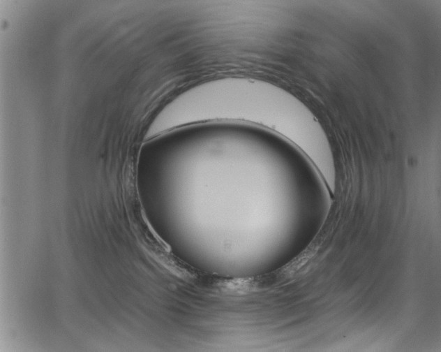 X0000065980092200603030941