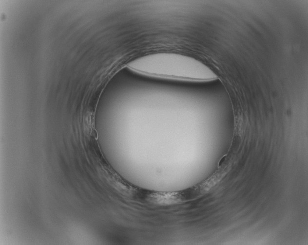 X0000065980093200603030941