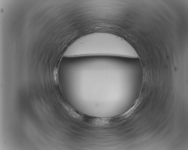 X0000065980094200603030941