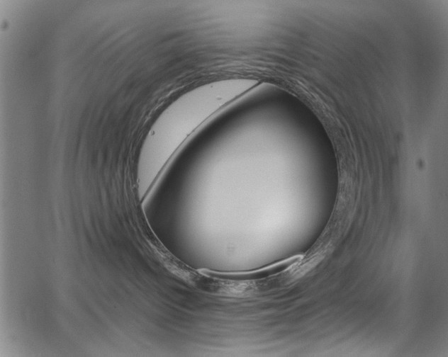 X0000065980096200603030941