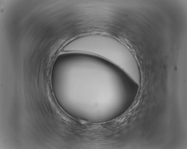 X0000065980097200603030940