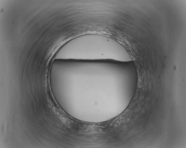 X0000065980098200603030940