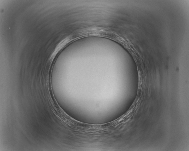 X0000065980099200603030940