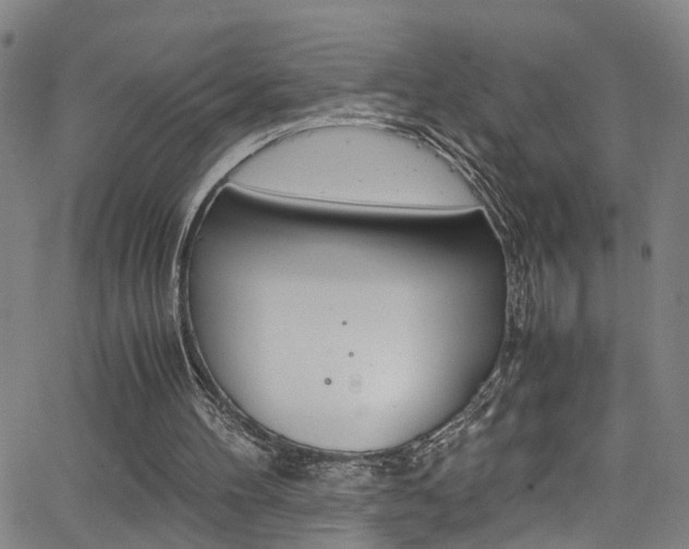 X0000065980100200603030940