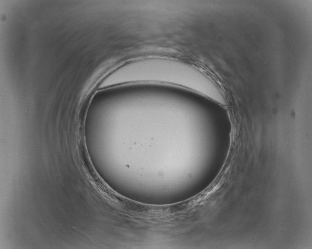 X0000065980101200603030940