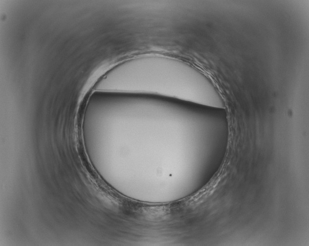 X0000065980102200603030940