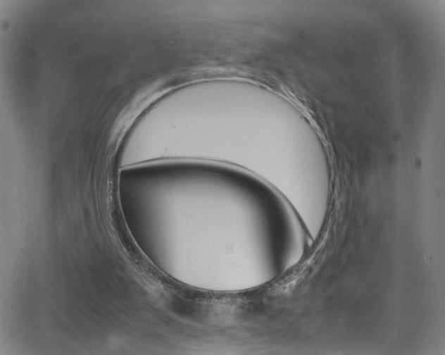 X0000065980103200603030940