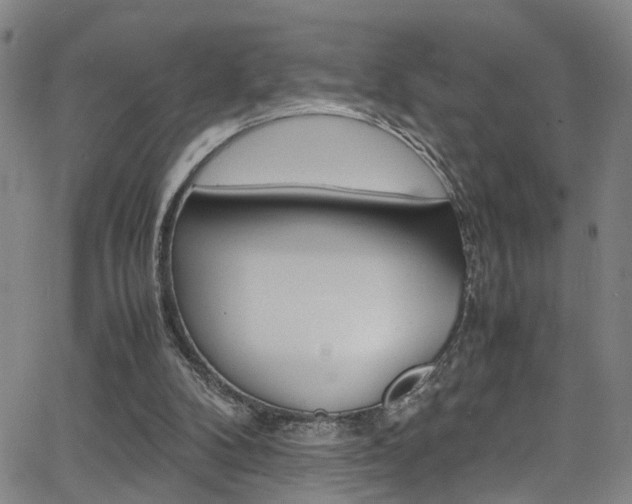 X0000065980104200603030940