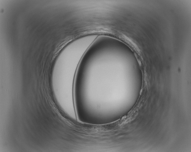 X0000065980105200603030940