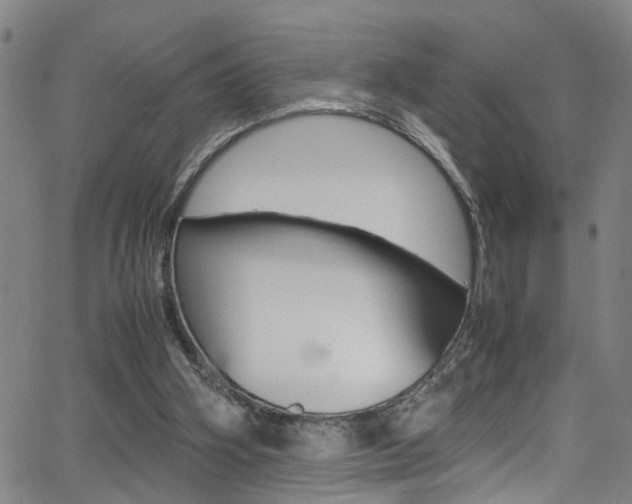 X0000065980106200603030940