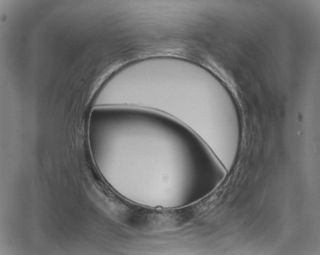 X0000065980107200603030940