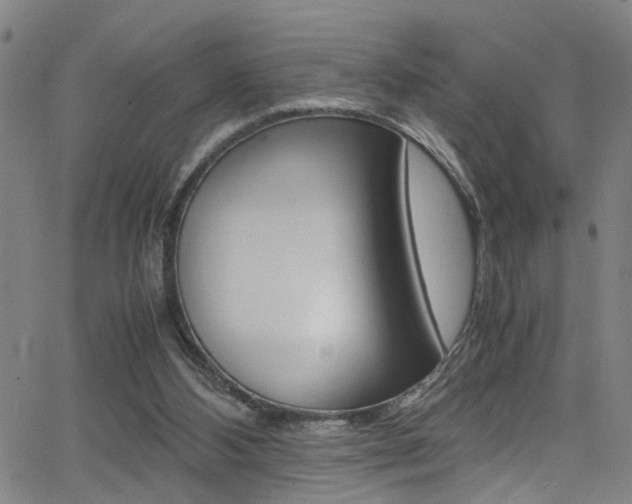 X0000065980108200603030940