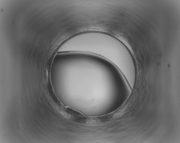 X0000065980109200603030940