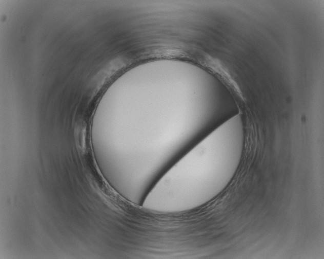 X0000065980110200603030940